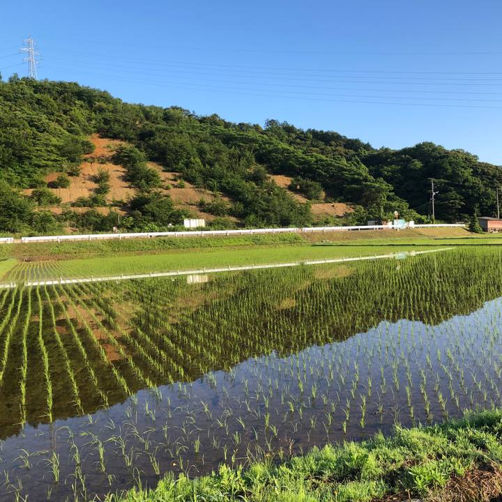 0e797c8a acb9 4c2d bb67 ae7d9e8cc14d 1654758048685