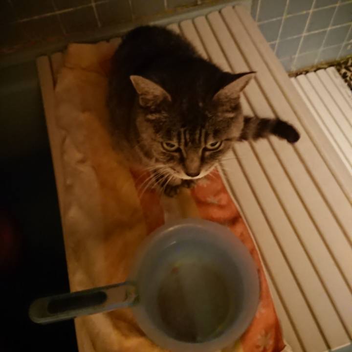 0e7981ab b9a3 4cd8 ac00 247e4b8738d2 1572341216071