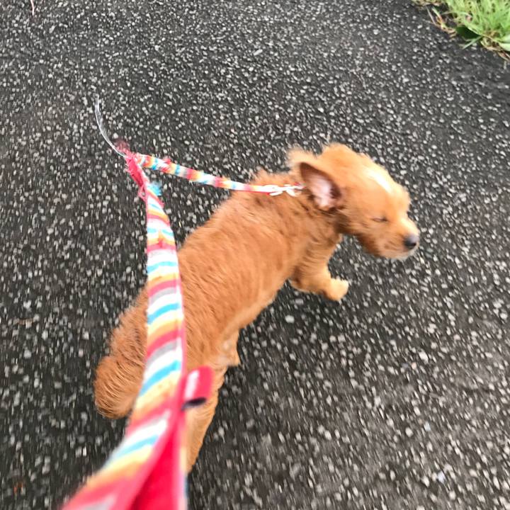 0e798693 526e 4d3e a240 b120ca46efed 1538347851322