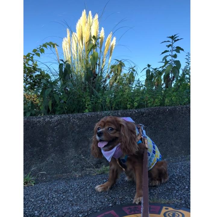 0e799e36 a6fd 4e84 83b5 f653348cceb0 1628375719038