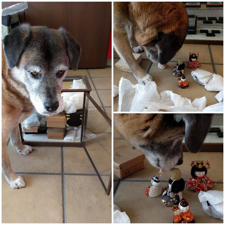 0e79ac1d 16f2 4223 8129 f9c02b805374 1550801636806