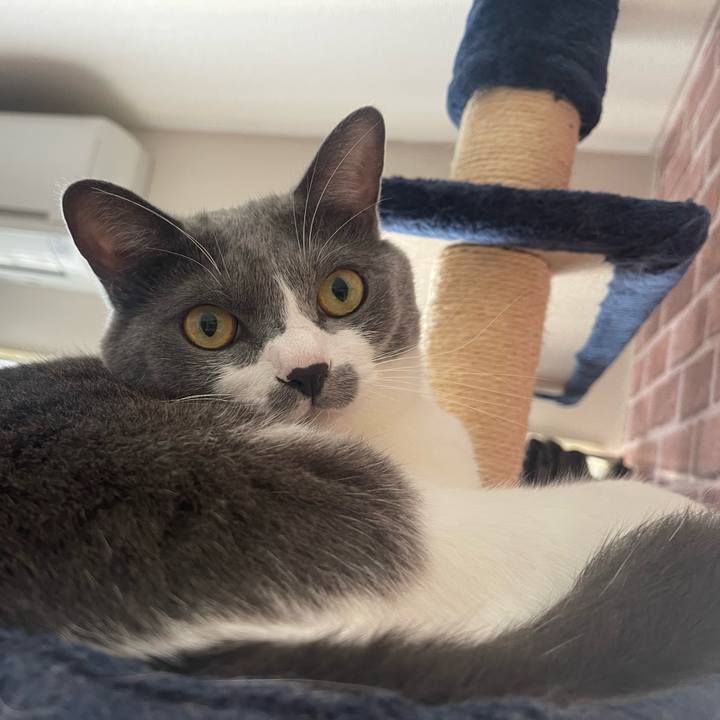 0e79bc3a 1247 4377 b02d a16b9a3cb8c5 1664494146901