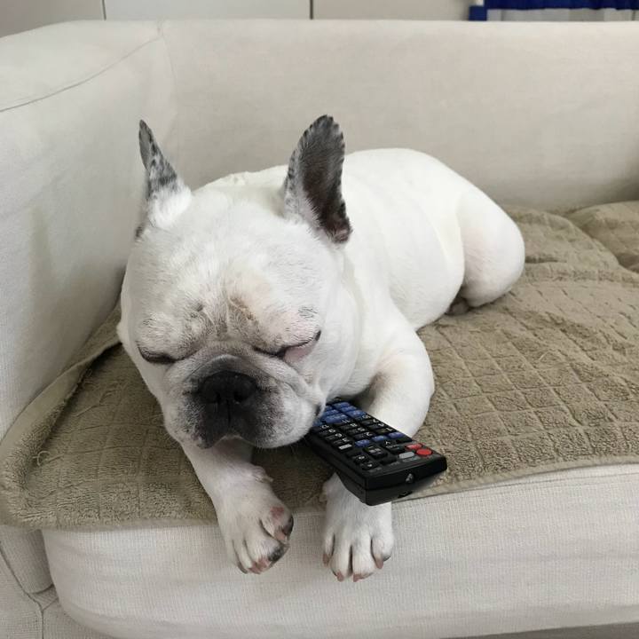 0e79fe2d 3a30 44c1 b871 2d0b53de3020 1566136162313