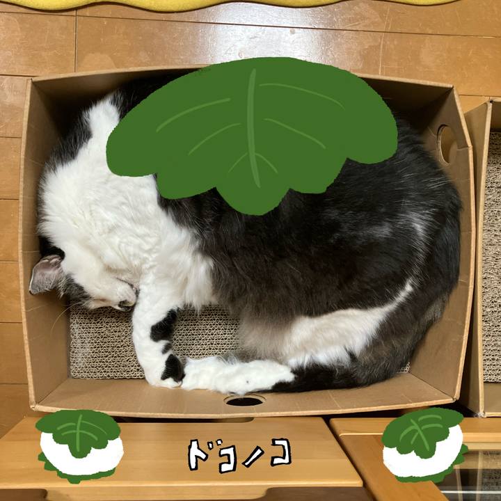 0e7a1ed1 d856 48f6 a467 e4162ab9b267 1749180586259