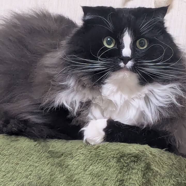 0e7a2dfd 6011 4706 811d 711ad1978c9a 1771363376009