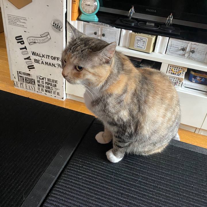 0e7a5681 f24b 434d 8978 1f803ee2a2e4 1586045954324