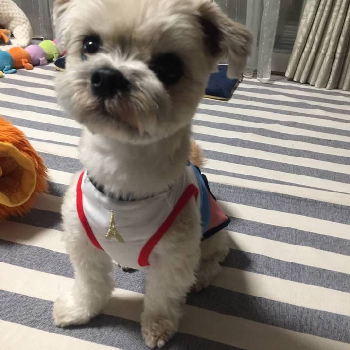 0e7a8f55 e311 4578 bcd8 b1f26424bb5c 1523968698262