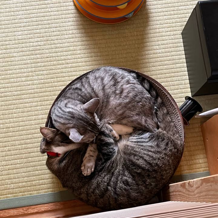 0e7a9947 aaea 421c 9ef1 8b2267c9fa2f 1745234273548