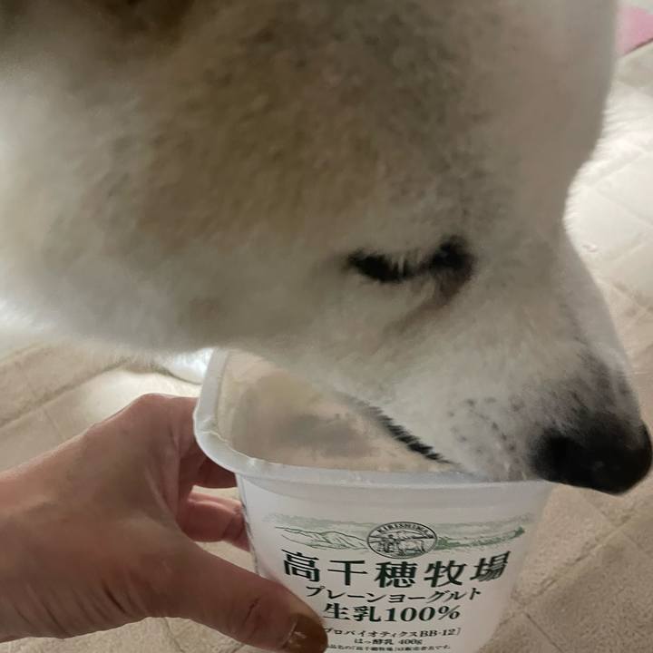 0e7aa4df ce8e 4eda bf9b 51ea419e4ec9 1708867803009