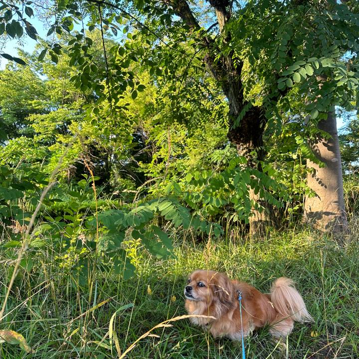 0e7ac536 d18b 4504 8d5f 7b1475e7ef75 1686862590849