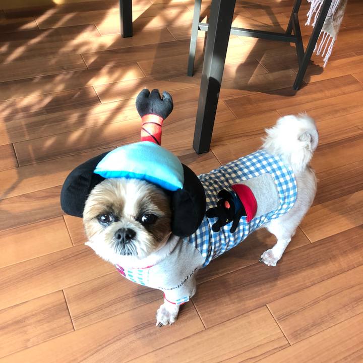 0e7ad180 e719 43a5 835f 500d103449b4 1526082275602