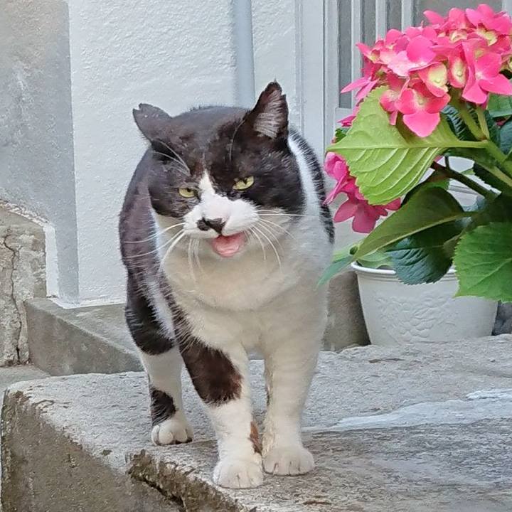 0e7ad74a df06 4ae4 8392 c2bc915680c9 1649235955216