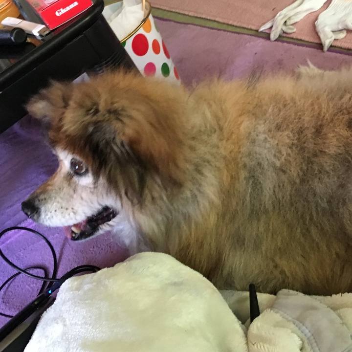 0e7b17d2 f692 4b0a 8381 3857f2e4b7db 1601872556848