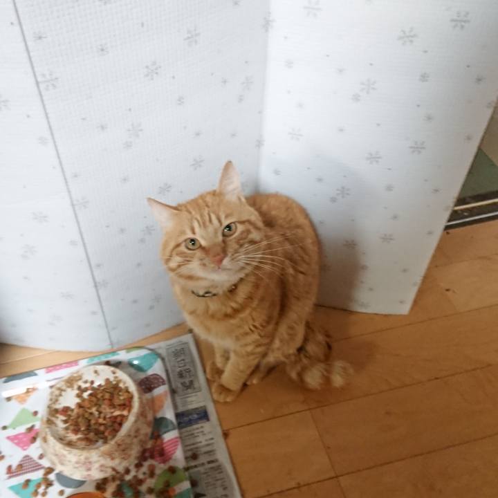 0e7b2d0f 328b 4f91 a4d7 db8f3bcfe5f5 1654346232940