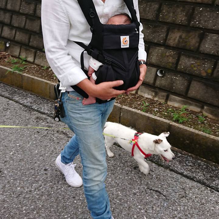 0e7b356b 01f6 415b a52e 318eee5533b7 1592177254610