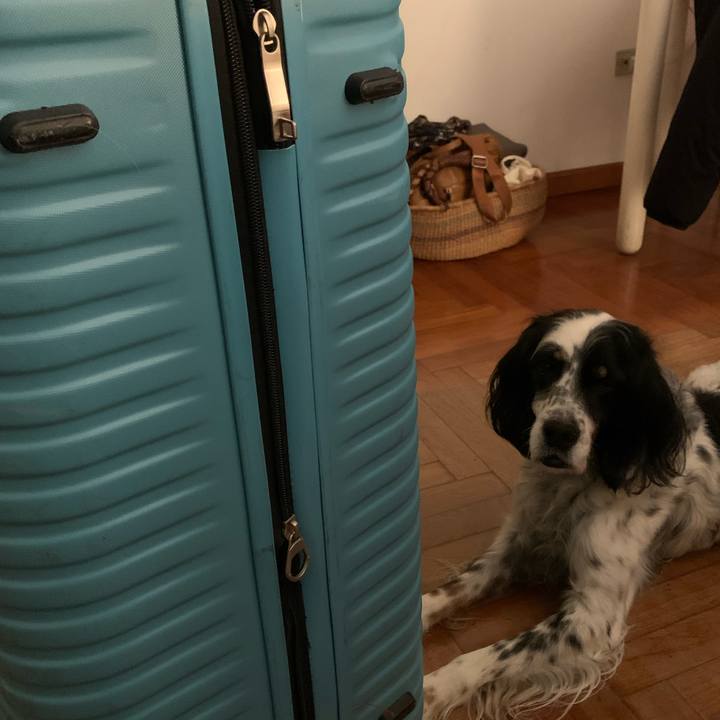 0e7b39ac ce32 4329 ac26 fff047e2c499 1767098846622