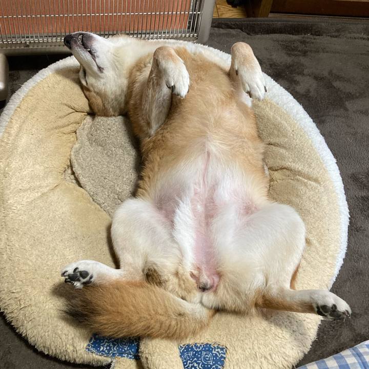 0e7b5be4 8601 4aee 8f81 b57a375752ac 1701237428990