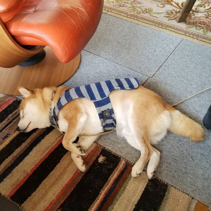 0e7b6c3a 64ae 4d0e 8d77 b18dc1169715 1580605074902