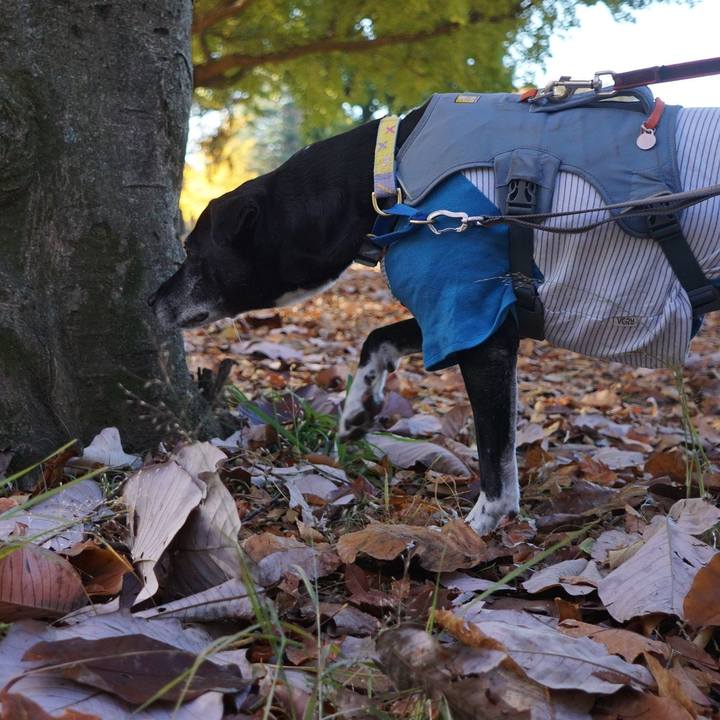 0e7b9280 8bbf 41cb abc5 d39107f3c0b2 1763686517570