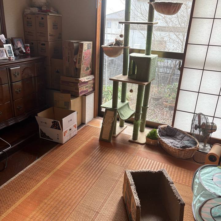 0e7be3e8 d41c 4d75 9319 eb370fb3b312 1769917882587