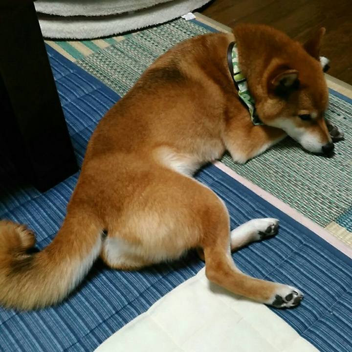 0e7be70a 4c98 42d4 8f92 f17c3284d7c6 1562151212187