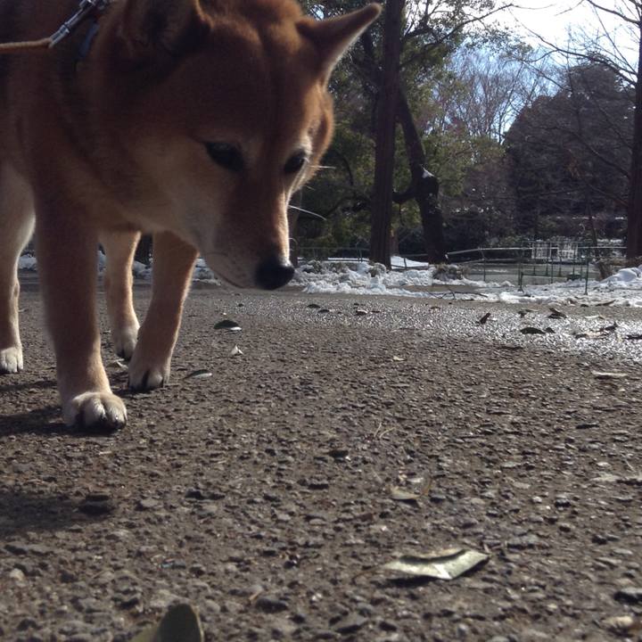 0e7be7c5 d40c 4b1b 83d6 eaf07092777e 1516946010308