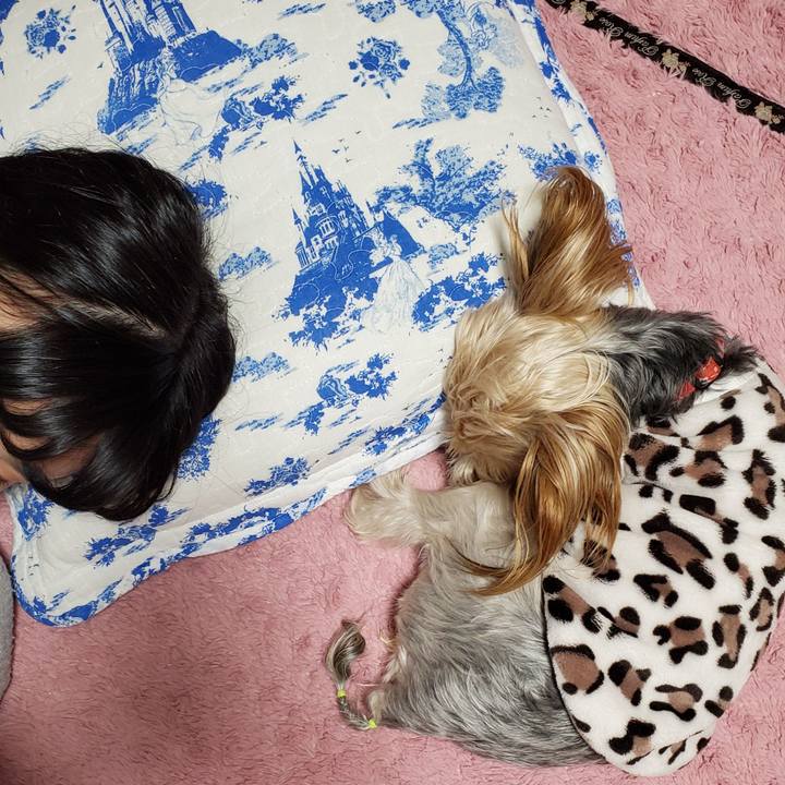 0e7c3488 d20d 4bd0 828f f7eeba3385da 1572857329771