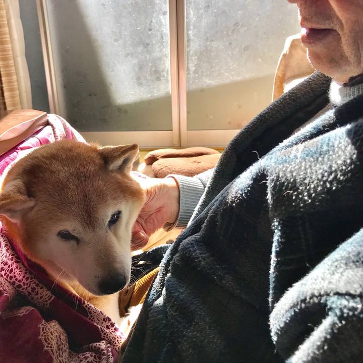 0e7c39fd 04ed 45b5 9b42 563b7868a58c 1518599921532