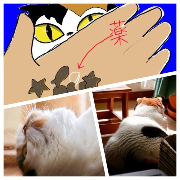 0e7c4bbb 7e04 4dc0 a74e 474fdc3794e3 1566832817443