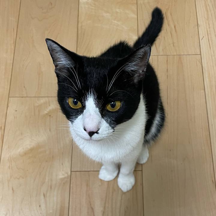 0e7c5900 b08b 48bf 83be 765ab42e1bc8 1691065886109