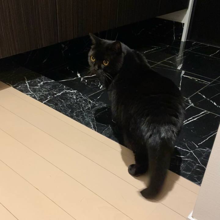 0e7c6dd4 8763 44ce b763 b3abfc78c5ce 1706791127782