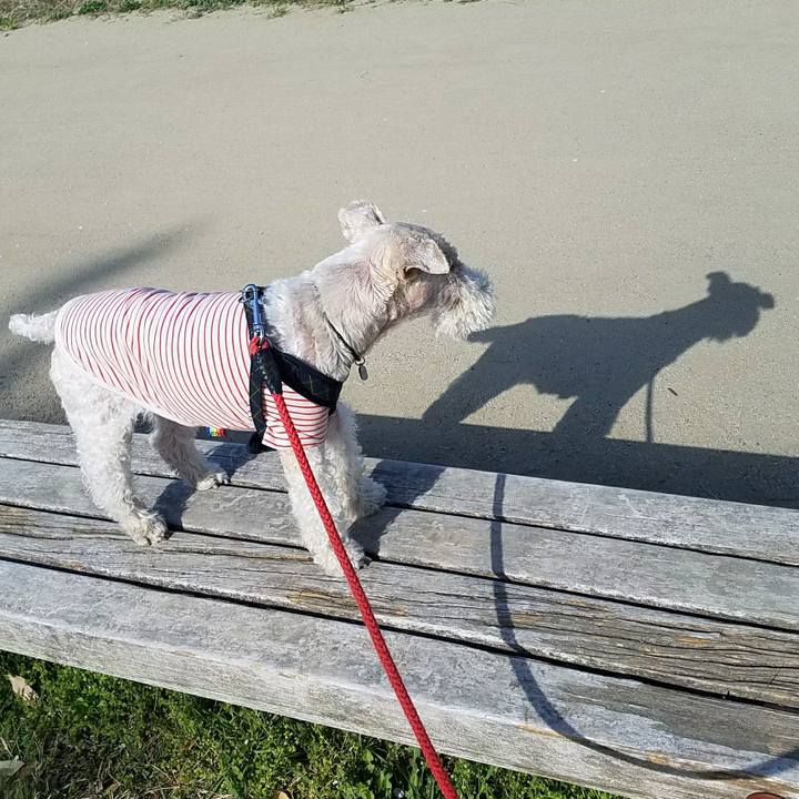 0e7c6e75 5990 4ec1 be17 96cbca5f103e 1522678245983