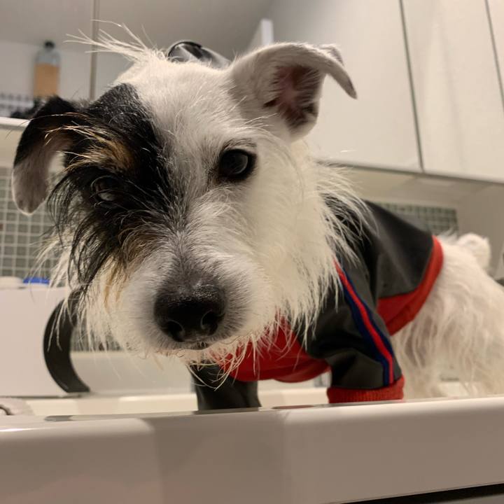 0e7c8002 aedb 4709 af78 3f4a9d1f2881 1650960914845