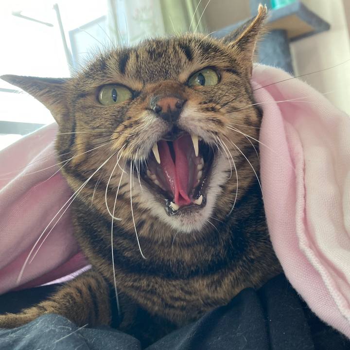 0e7c809b 4e68 402c 9375 4c1a87fa06e1 1633603305526