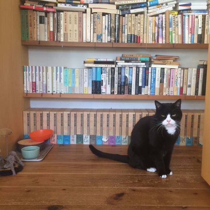 0e7cb169 3f91 46d2 8f1d 7d462284605a 1609547935053