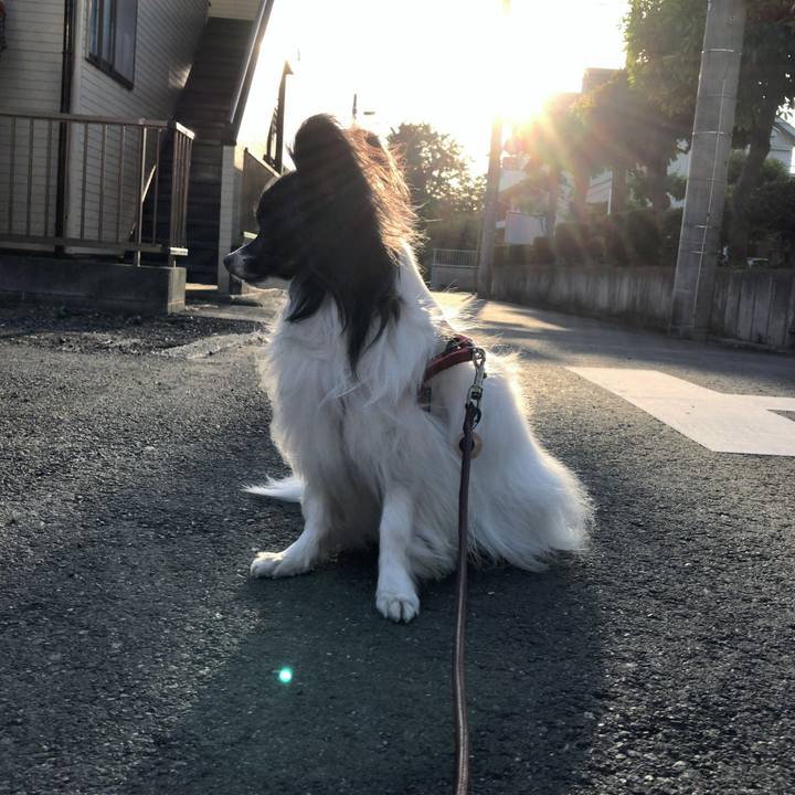 0e7cc51c ccd4 4e5f b7a5 8a7d73c124f3 1525517973374