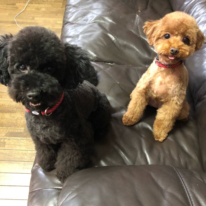 0e7cc790 1a2f 41f4 81f7 82c2aeec93d7 1566773157367