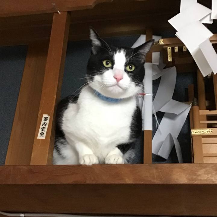 0e7cdee7 4a76 4eca 8765 5538ad9b203c 1738407173432