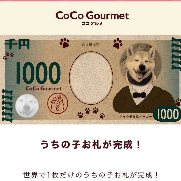 0e7cee0e 2a8a 4466 a0f3 65334eedd4ec 1719982571245