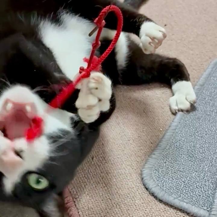 0e7d31ad 481f 4f36 ae62 233a0ccf6984 1744250191599