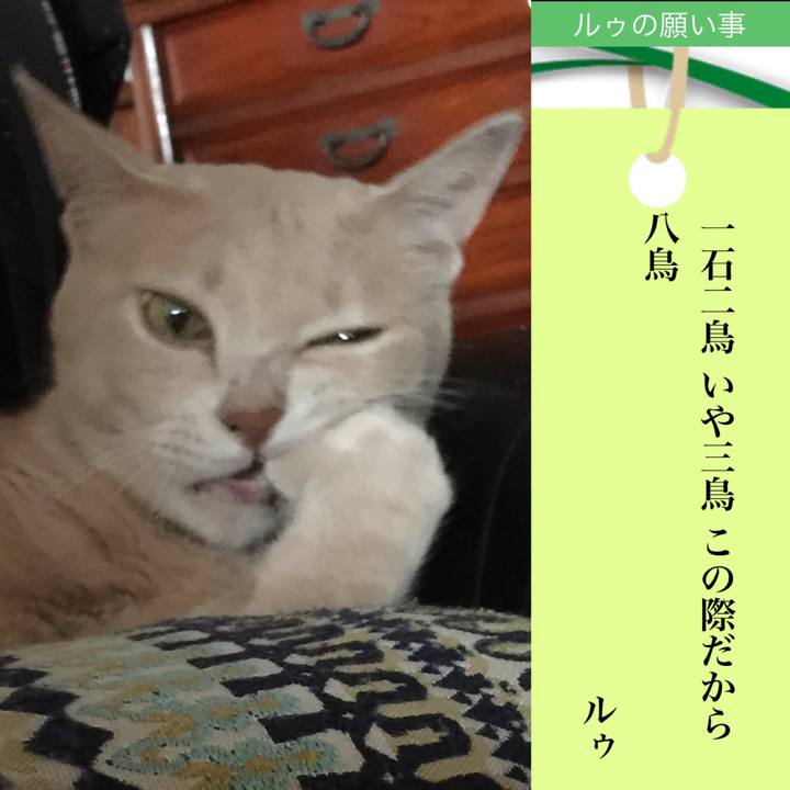 0e7d3ab5 f936 4306 a7c0 90ab7eca954c 1594083823950