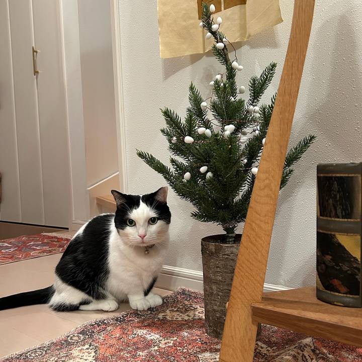 0e7d3bbd d75e 4157 b3b2 72b83f4e2150 1766529111155