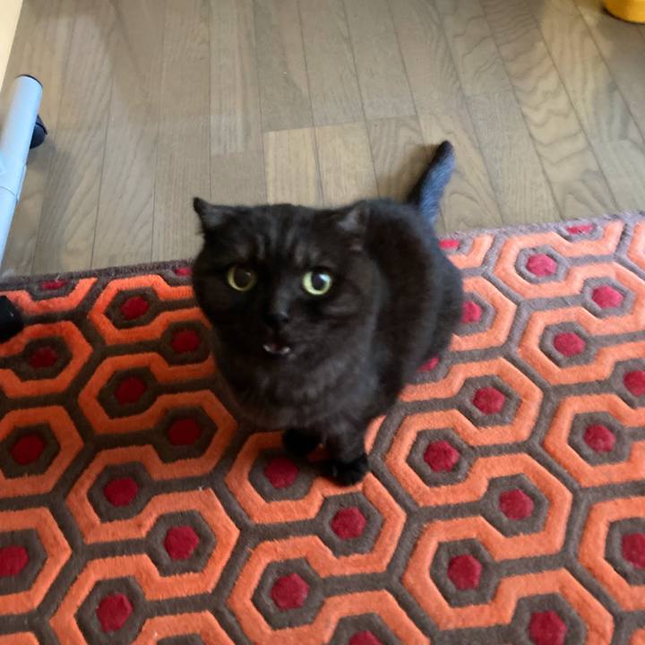 0e7d42df 0516 4535 b7bb 36f8d919d26f 1593652188162