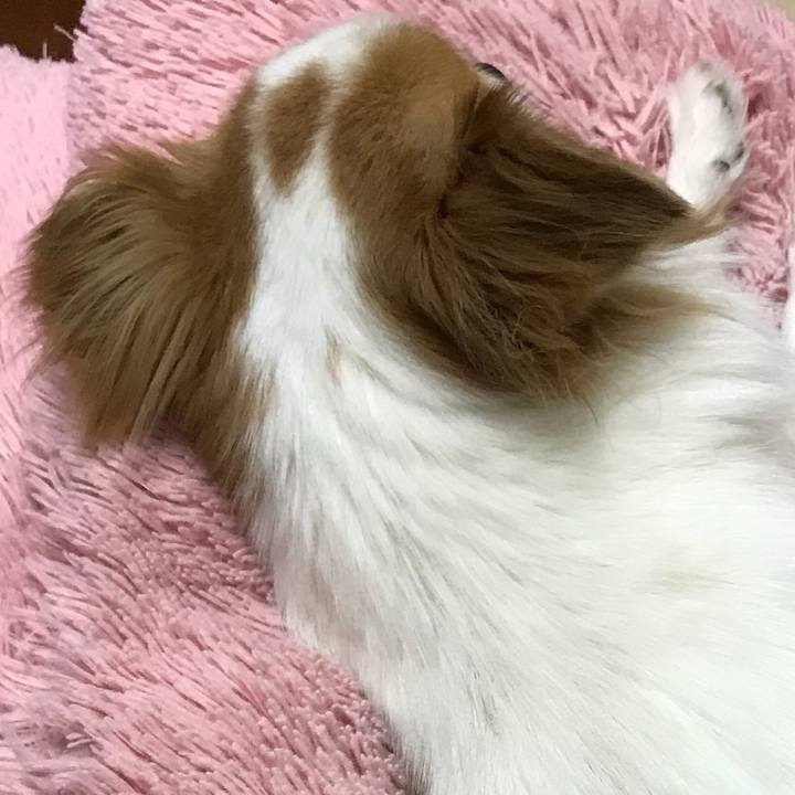 0e7d7e80 68f3 462d 9a50 0c6916e93499 1527952530853