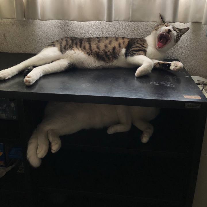 0e7d9327 7699 4c75 b72e ecf867177448 1599352786762