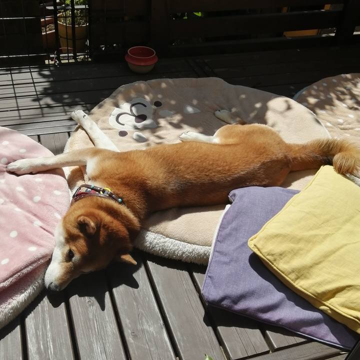 0e7da9db 1b8c 4a87 a586 413585801f6d 1681053125950