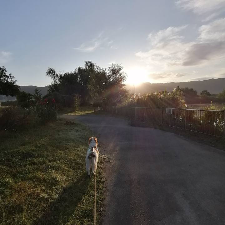 0e7dc80b 215b 46e9 bb8e d7e61ad08159 1572652377985