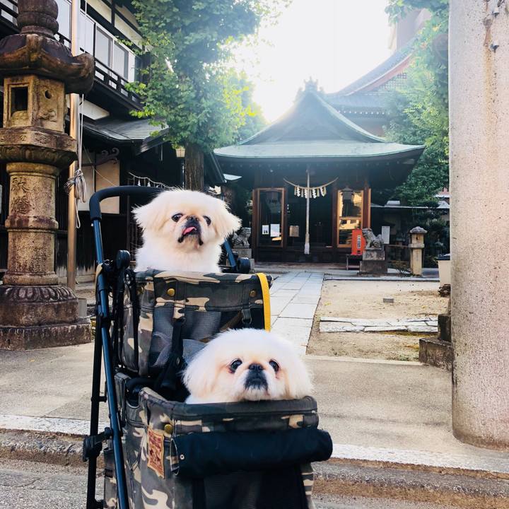 0e7dd927 0c72 4799 b5ed 3819472f92e9 1598743294650