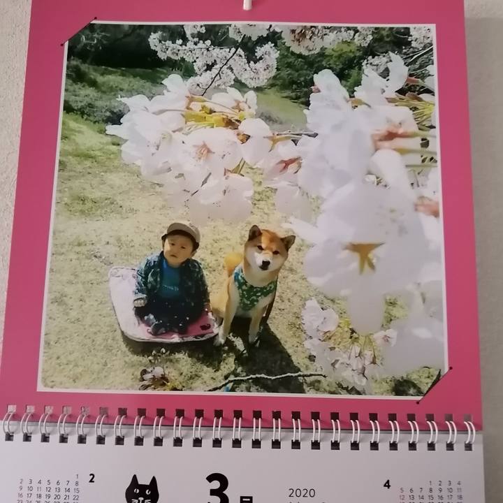 0e7e0b8f aa76 4742 9f93 66678f688e10 1583113570758