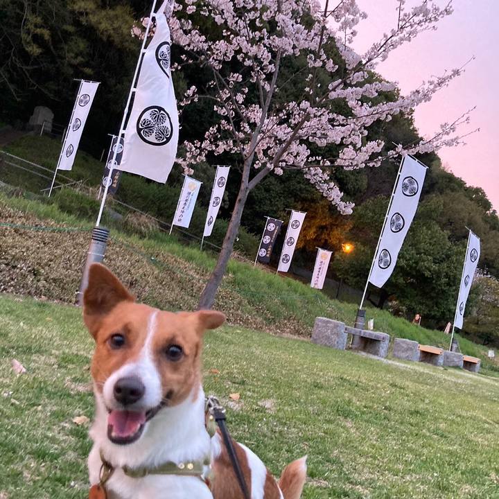 0e7e1160 c2fe 40e9 bddb 0994e7157f12 1679917191352